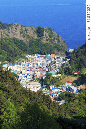 慶北 村 島 31852029