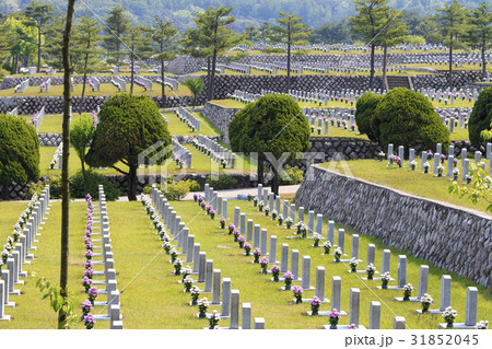 ゼオライト ソウル 一列 31852045