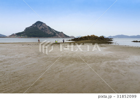 古群山群島 群山市 大腸も 31852099