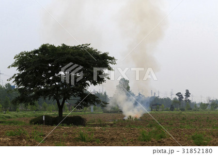 京畿道 キョンギド 煙 31852180