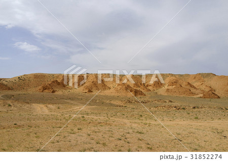 ゴビ砂漠 モンゴル バヤン作 31852274