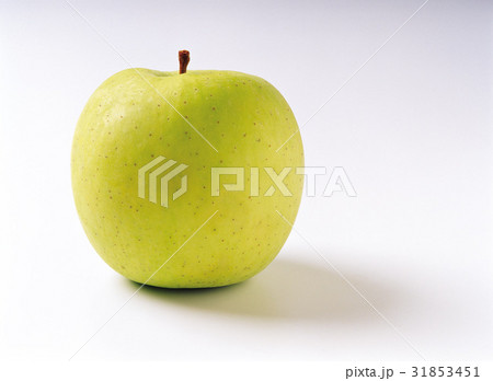 フルーツ 果物 ヌキ 31853451