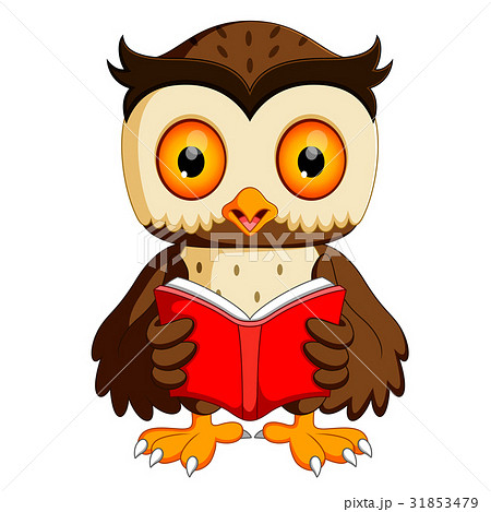 owl reading book 31853479
