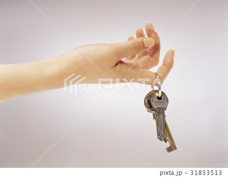 部分 手 指 31853513