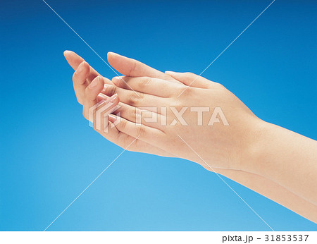 人 人間 手 31853537