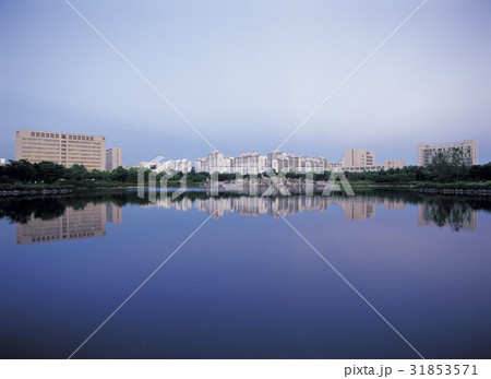 京畿道 キョンギド 高陽市 31853571