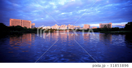 京畿道 キョンギド 高陽市 31853896