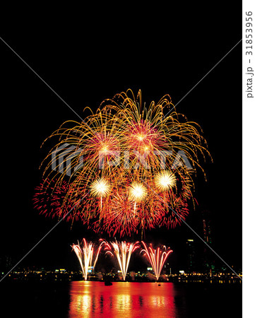 花火 ソウル 祭り 31853956