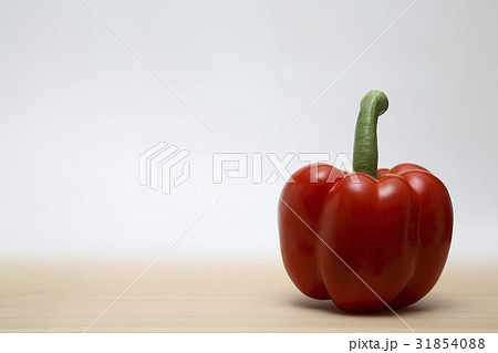 1 1 静物 31854088