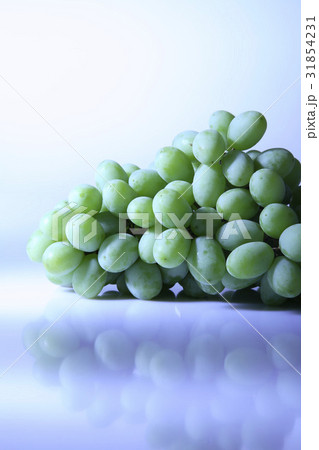 フルーツ 果物 静物 31854231