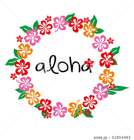 ハワイ 夏のイメージのハイビスカスの円形のフレーム イラスト素材のイラスト素材