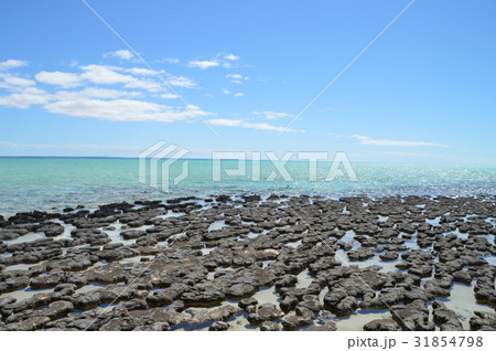 ストロマトライト 31854798