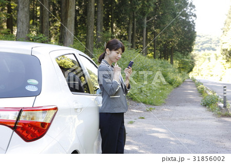 女性ドライバーイメージ 女性ドライバーイメージ 31856002