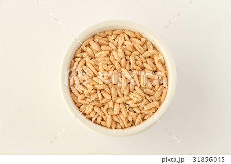 えん麦、オーツ麦、からす麦 31856045