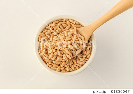 えん麦、オーツ麦、からす麦 えん麦、オーツ麦、からす麦 31856047