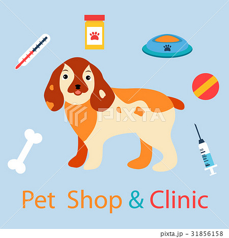 Banner with cute dog with pet medicine and stuff 31856158