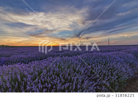 dramatic sky 31856225