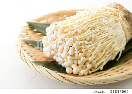 えのき茸 31857662