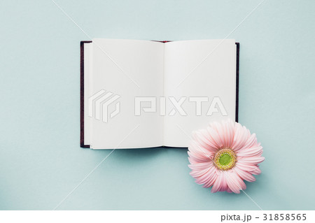 flat lay pink flower and diary on blue background flat lay pink flower and diary on blue background 31858565