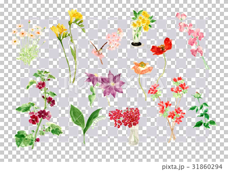 四季の花シリーズ_5 四季の花シリーズ_5 31860294