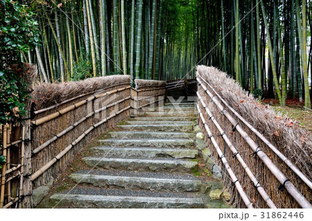 京都 化野念仏寺(あだしのねんぶつじ) 京都 化野念仏寺(あだしのねんぶつじ) 31862446