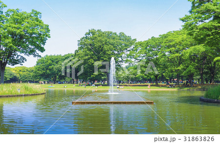 休日の代々木公園 31863826