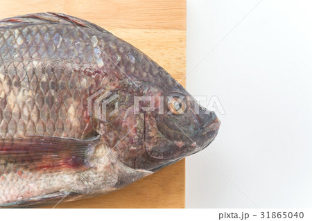 Black Tilapia or Tilapia 31865040
