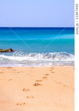 夏 サマーイメージ 夏イメージ 31867900