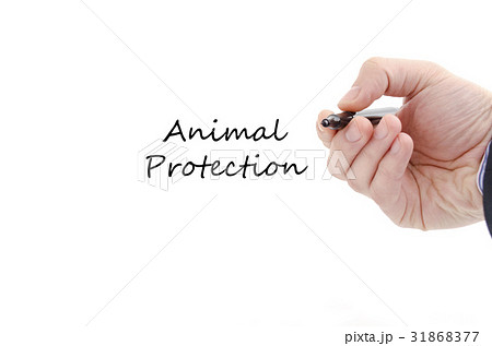 Animal protection text concept Animal protection text concept 31868377
