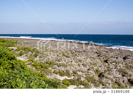 ランドマーク 名所 屏東 31869186