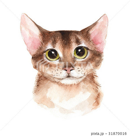 Cat. Watercolor illustration 31870016