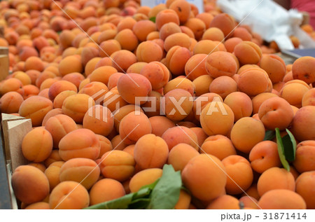 Apricots on Market Apricots on Market 31871414