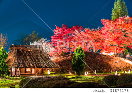 《山梨県》富士河口湖町・紅葉ライトアップ《もみじ回廊》 31872178