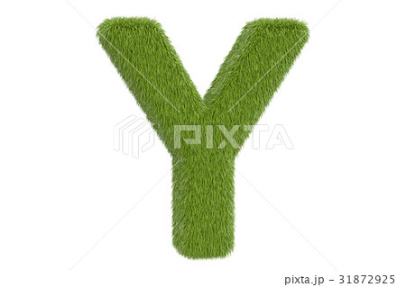 Green letter Y from grass closeup, 3D rendering 31872925