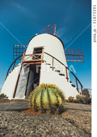 Windmill in cactus garden in Guatiza village 31873391