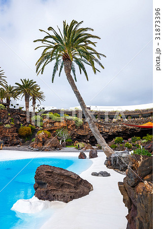 Jameos del Agua pool in volcanic cave, Lanzarote 31873396