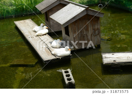 畑の草取り隊 畑の草取り隊 31873575