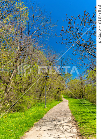 View of Niagara Falls State Park in USA View of Niagara Falls State Park in USA 31873923