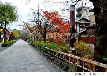 京都　祇園新橋　重要伝統的建造物群保存地区 31875083