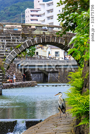 新緑の中島川石橋群（眼鏡橋）　長崎 31875706