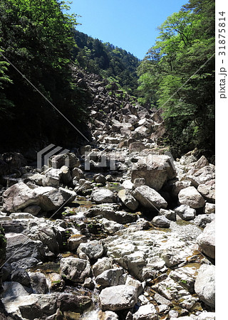 大杉谷の崩壊地 大杉谷の崩壊地 31875814