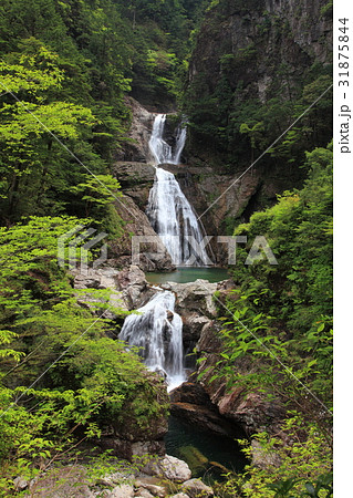 大杉谷の七ッ釜滝 大杉谷の七ッ釜滝 31875844