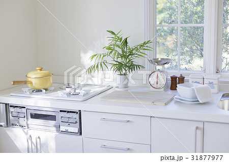 キッチンのイメージ キッチンのイメージ 31877977
