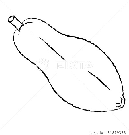 Line Drawing Of Papaya Simple Line Vectorのイラスト素材