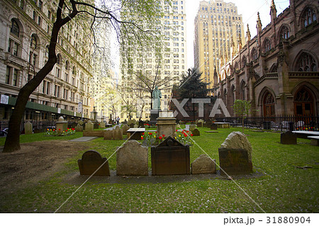 New York City 31880904