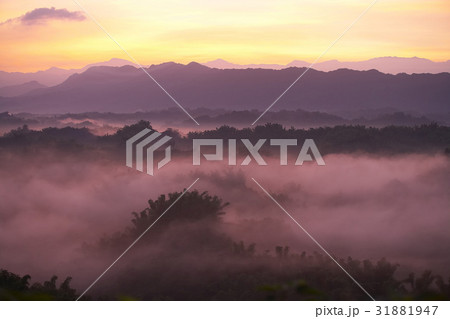 Nature Scenery Nature Scenery 31881947