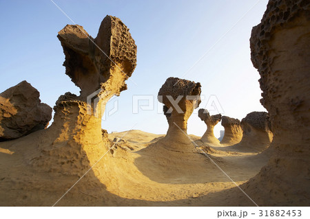 Taiwan Landmark Taiwan Landmark 31882453