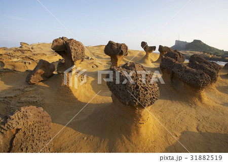 Taiwan Landmark Taiwan Landmark 31882519