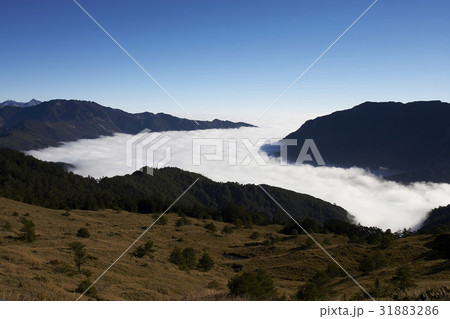 Peaceful Scenery Peaceful Scenery 31883286