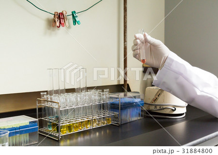 研究者　ドラフトチャンバー 31884800